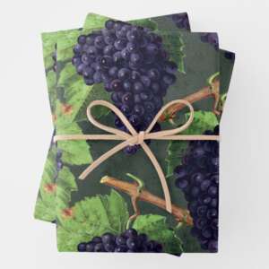 CHOPIN NEGRO CON IMAGEN DE UVAS